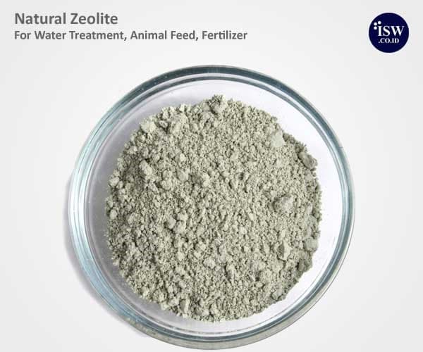 Natural Zeolite Clinoptilolite